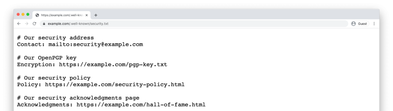 De adoptie van security.txt: een best practice voor open internetstandaarden